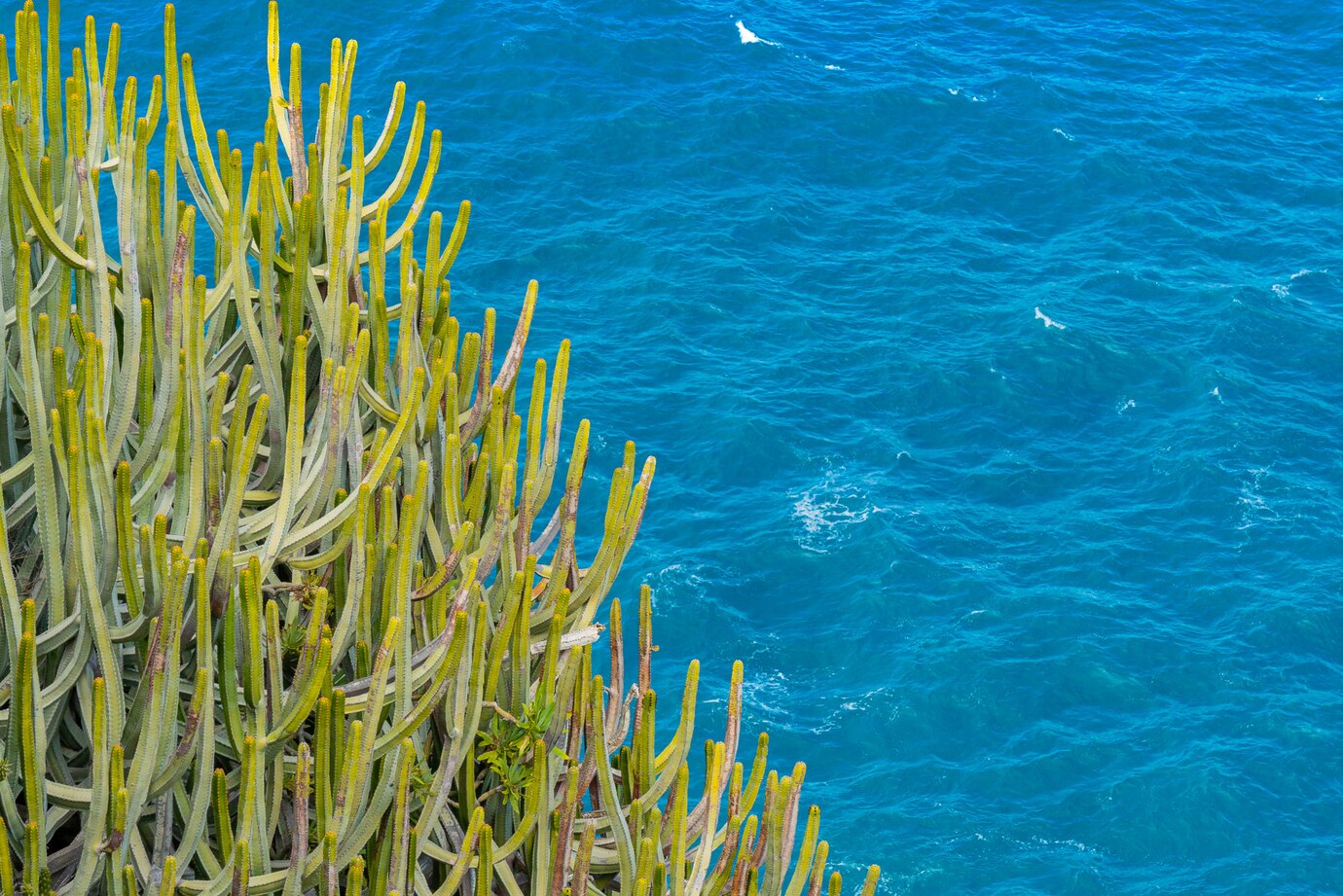 Yucatan Peninsula, Mexico Expedition