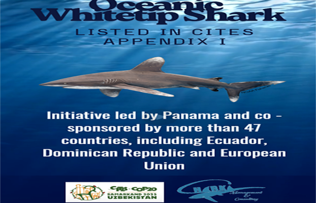 Oceanic Whitetip Shark in CITES Appendix I