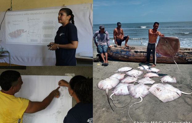 Fishing for Knowledge: Fishers Share Local Wisdom to Protect Rays in the Colombian Caribbean
